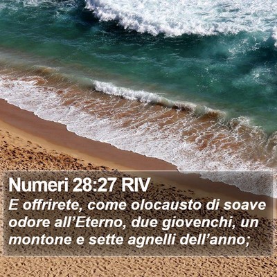 Numeri 28:27 RIV Bible Verse Image