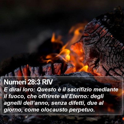 Numeri 28:3 RIV Bible Verse Image