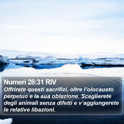 Numeri 28:31 RIV Bible Verse Image