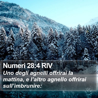 Numeri 28:4 RIV Bible Verse Image
