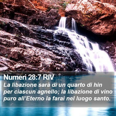 Numeri 28:7 RIV Bible Verse Image
