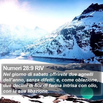 Numeri 28:9 RIV Bible Verse Image