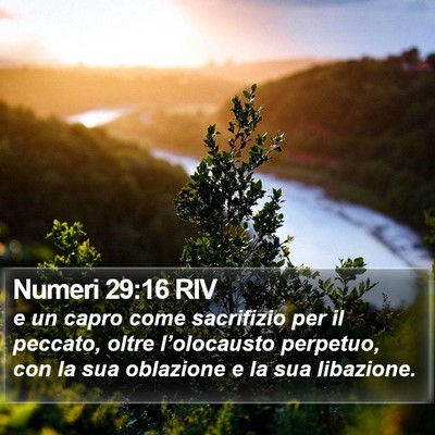 Numeri 29:16 RIV Bible Verse Image