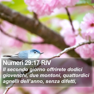 Numeri 29:17 RIV Bible Verse Image