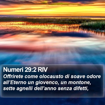 Numeri 29:2 RIV Bible Verse Image