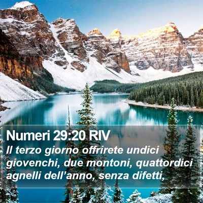 Numeri 29:20 RIV Bible Verse Image