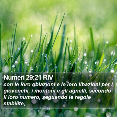 Numeri 29:21 RIV Bible Verse Image