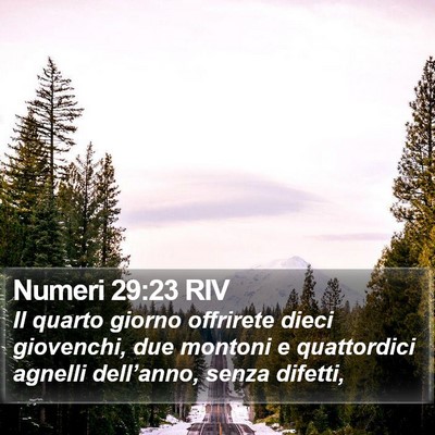 Numeri 29:23 RIV Bible Verse Image