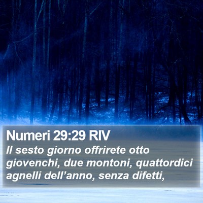Numeri 29:29 RIV Bible Verse Image