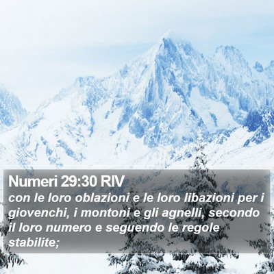 Numeri 29:30 RIV Bible Verse Image