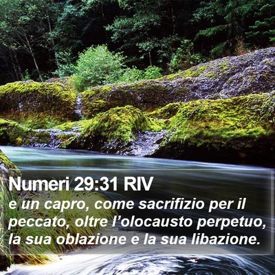 Numeri 29:31 RIV Bible Verse Image