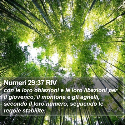 Numeri 29:37 RIV Bible Verse Image