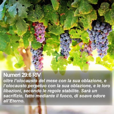 Numeri 29:6 RIV Bible Verse Image