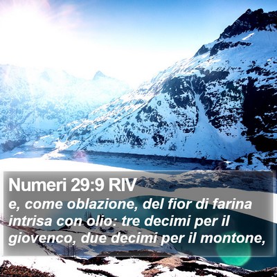 Numeri 29:9 RIV Bible Verse Image