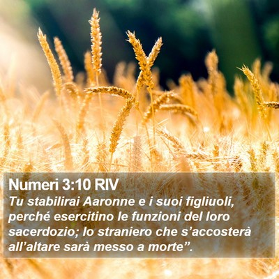Numeri 3:10 RIV Bible Verse Image
