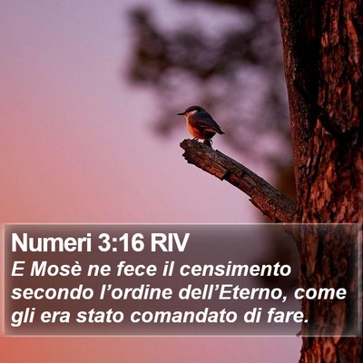 Numeri 3:16 RIV Bible Verse Image
