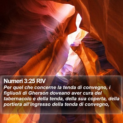 Numeri 3:25 RIV Bible Verse Image