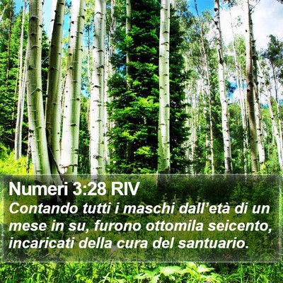 Numeri 3:28 RIV Bible Verse Image