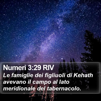 Numeri 3:29 RIV Bible Verse Image