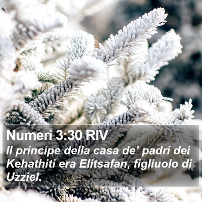 Numeri 3:30 RIV Bible Verse Image