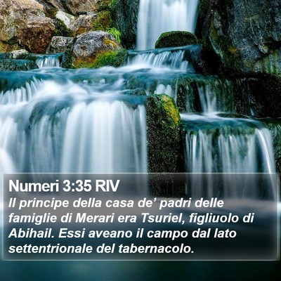 Numeri 3:35 RIV Bible Verse Image