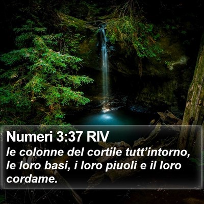 Numeri 3:37 RIV Bible Verse Image