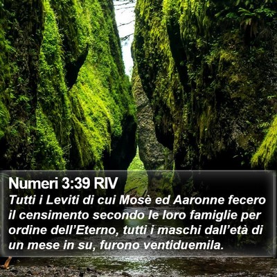 Numeri 3:39 RIV Bible Verse Image