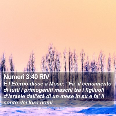 Numeri 3:40 RIV Bible Verse Image