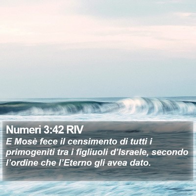 Numeri 3:42 RIV Bible Verse Image