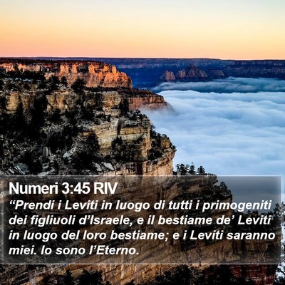 Numeri 3:45 RIV Bible Verse Image