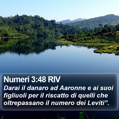 Numeri 3:48 RIV Bible Verse Image