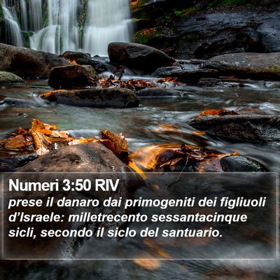 Numeri 3:50 RIV Bible Verse Image