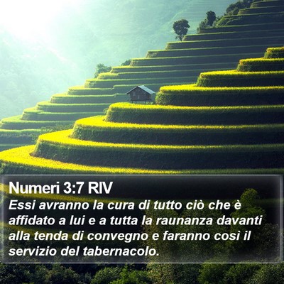 Numeri 3:7 RIV Bible Verse Image