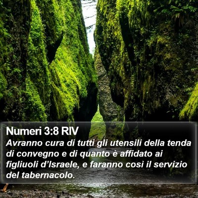 Numeri 3:8 RIV Bible Verse Image