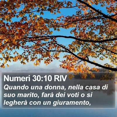 Numeri 30:10 RIV Bible Verse Image