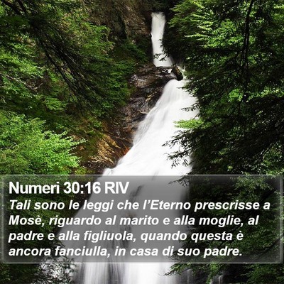 Numeri 30:16 RIV Bible Verse Image