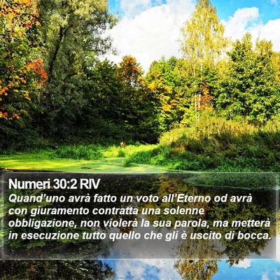 Numeri 30:2 RIV Bible Verse Image