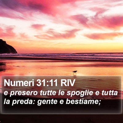 Numeri 31:11 RIV Bible Verse Image