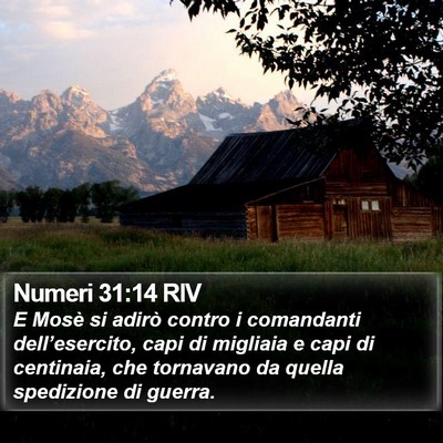 Numeri 31:14 RIV Bible Verse Image