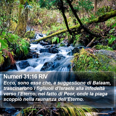 Numeri 31:16 RIV Bible Verse Image