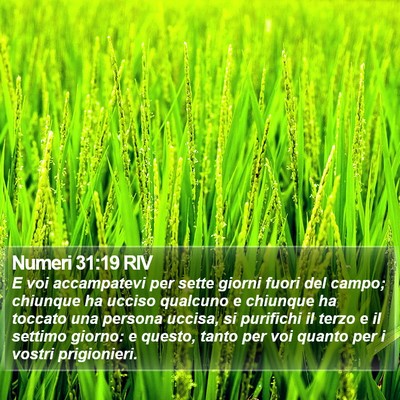 Numeri 31:19 RIV Bible Verse Image