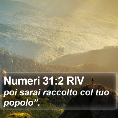 Numeri 31:2 RIV Bible Verse Image