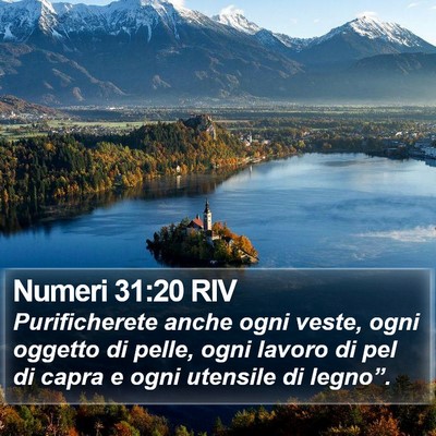 Numeri 31:20 RIV Bible Verse Image