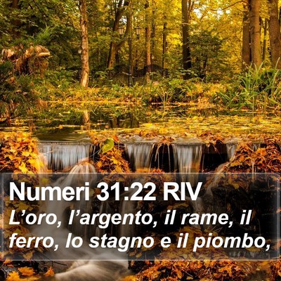 Numeri 31:22 RIV Bible Verse Image