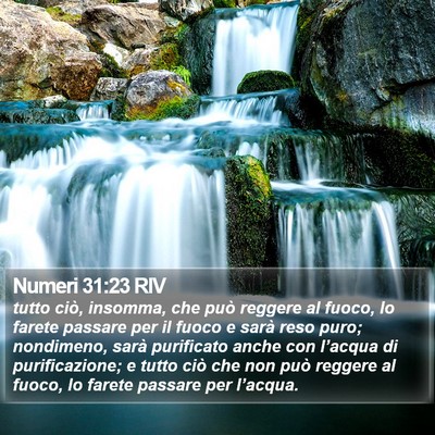 Numeri 31:23 RIV Bible Verse Image