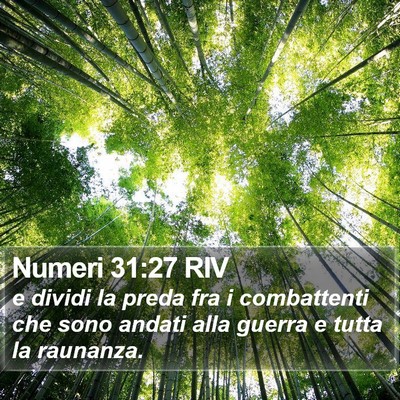 Numeri 31:27 RIV Bible Verse Image