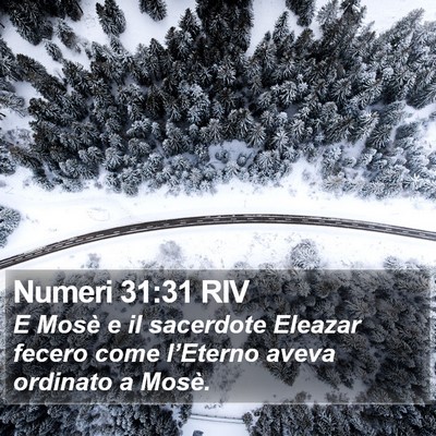 Numeri 31:31 RIV Bible Verse Image