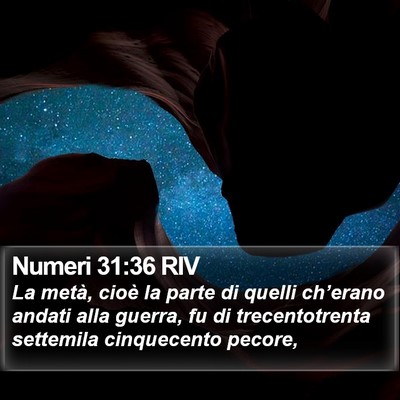 Numeri 31:36 RIV Bible Verse Image