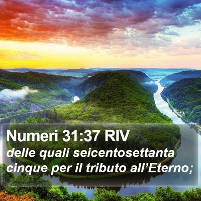 Numeri 31:37 RIV Bible Verse Image