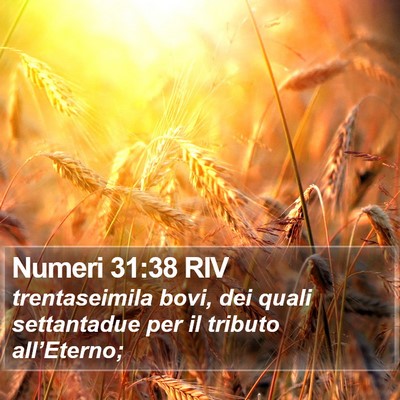 Numeri 31:38 RIV Bible Verse Image